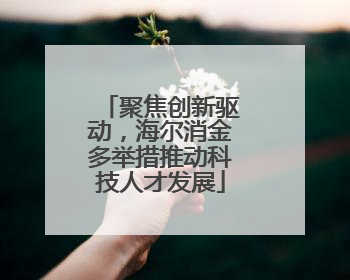聚焦创新驱动，海尔消金多举措推动科技人才发展