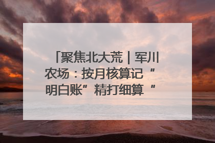 聚焦北大荒｜军川农场：按月核算记“明白账”精打细算“过紧日子”