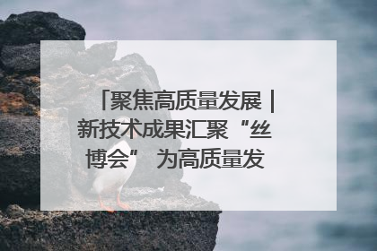 聚焦高质量发展｜新技术成果汇聚“丝博会” 为高质量发展注入新动能
