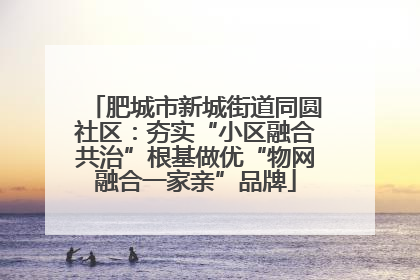 肥城市新城街道同圆社区：夯实“小区融合共治”根基做优“物网融合一家亲”品牌