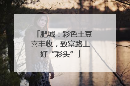肥城：彩色土豆喜丰收，致富路上好“彩头”