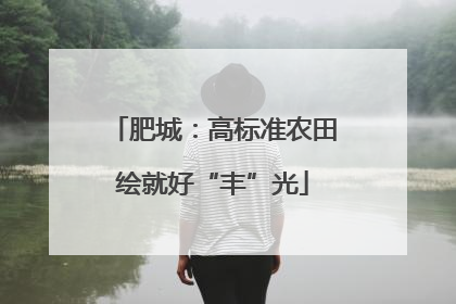 肥城：高标准农田绘就好“丰”光