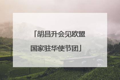 胡昌升会见欧盟国家驻华使节团