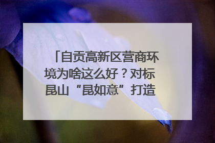 自贡高新区营商环境为啥这么好？对标昆山“昆如意”打造自贡“高兴办”｜美好生活有“盐”味