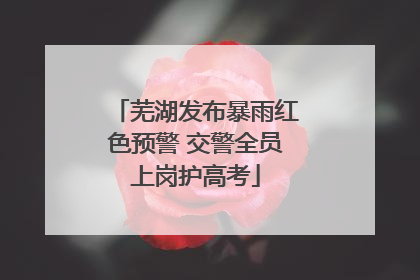 芜湖发布暴雨红色预警 交警全员上岗护高考