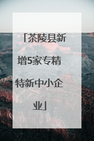 茶陵县新增5家专精特新中小企业