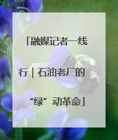 融媒记者一线行｜石油老厂的“绿”动革命