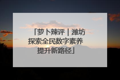 萝卜辣评｜潍坊探索全民数字素养提升新路径