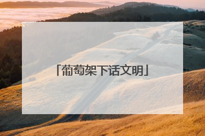 葡萄架下话文明