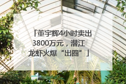 董宇辉4小时卖出3800万元，潜江龙虾火爆“出圈”