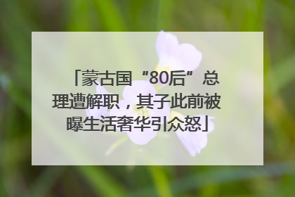 蒙古国“80后”总理遭解职，其子此前被曝生活奢华引众怒