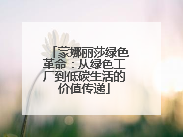 蒙娜丽莎绿色革命：从绿色工厂到低碳生活的价值传递