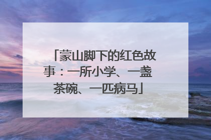 蒙山脚下的红色故事：一所小学、一盏茶碗、一匹病马