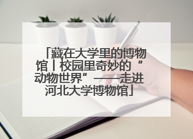 藏在大学里的博物馆丨校园里奇妙的“动物世界”——走进河北大学博物馆