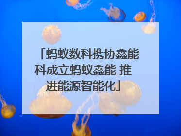蚂蚁数科携协鑫能科成立蚂蚁鑫能 推进能源智能化