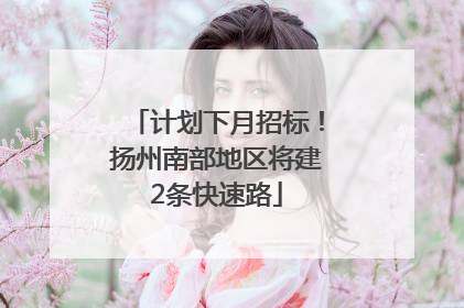 计划下月招标！扬州南部地区将建2条快速路