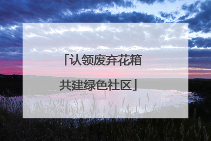 认领废弃花箱 共建绿色社区