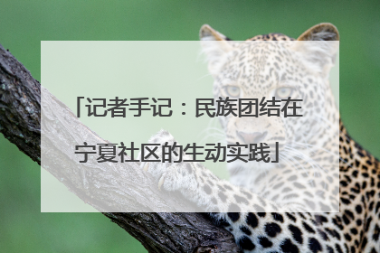 记者手记：民族团结在宁夏社区的生动实践