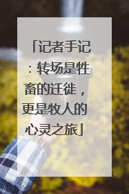 记者手记：转场是牲畜的迁徙，更是牧人的心灵之旅