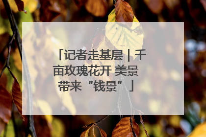 记者走基层｜千亩玫瑰花开 美景带来“钱景”