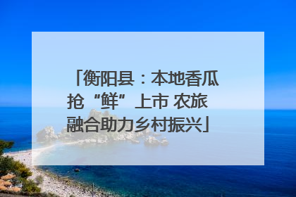 衡阳县：本地香瓜抢“鲜”上市 农旅融合助力乡村振兴