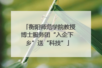 衡阳师范学院教授博士服务团“入企下乡”送“科技”
