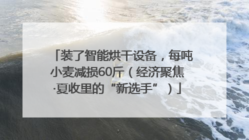 装了智能烘干设备，每吨小麦减损60斤（经济聚焦·夏收里的“新选手”）