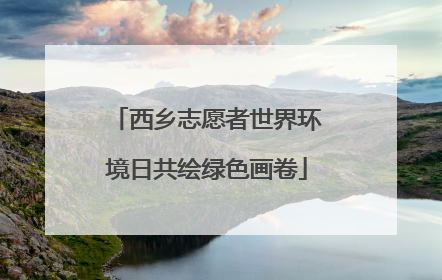 西乡志愿者世界环境日共绘绿色画卷