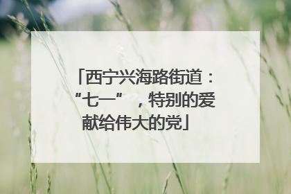 西宁兴海路街道：“七一”，特别的爱献给伟大的党