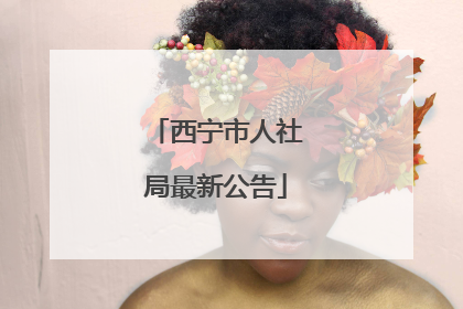 西宁市人社局最新公告