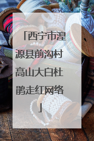 西宁市湟源县前沟村高山大白杜鹃走红网络