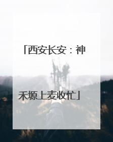 西安长安：神禾塬上麦收忙