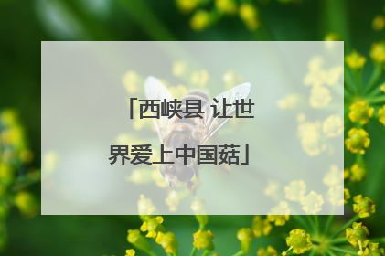 西峡县 让世界爱上中国菇