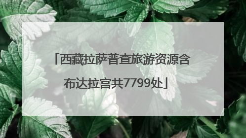 西藏拉萨普查旅游资源含布达拉宫共7799处