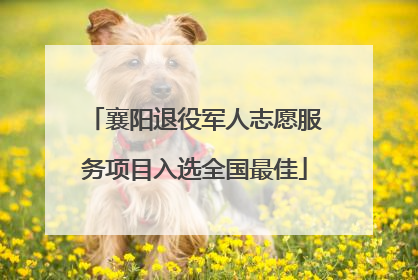 襄阳退役军人志愿服务项目入选全国最佳