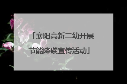 襄阳高新二幼开展节能降碳宣传活动