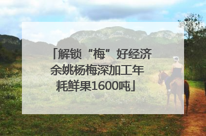 解锁“梅”好经济 余姚杨梅深加工年耗鲜果1600吨