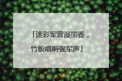 迷彩军营漫墨香，竹板唱响强军声