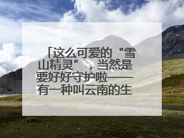这么可爱的“雪山精灵”，当然是要好好守护啦——有一种叫云南的生活之365天