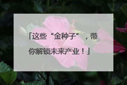这些“金种子”，带你解锁未来产业！