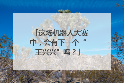 这场机器人大赛中，会有下一个“王兴兴”吗？