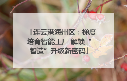 连云港海州区：梯度培育智能工厂 解锁“智造”升级新密码