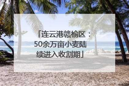 连云港赣榆区：50余万亩小麦陆续进入收割期