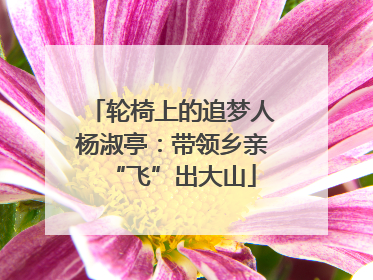 轮椅上的追梦人杨淑亭：带领乡亲“飞”出大山