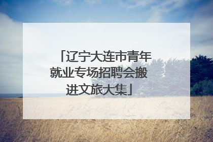 辽宁大连市青年就业专场招聘会搬进文旅大集