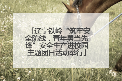 辽宁铁岭“筑牢安全防线，青年勇当先锋”安全生产进校园主题团日活动举行