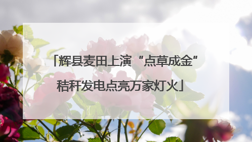 辉县麦田上演“点草成金” 秸秆发电点亮万家灯火