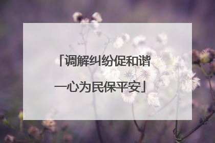 调解纠纷促和谐 一心为民保平安
