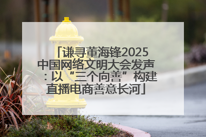 谦寻董海锋2025中国网络文明大会发声：以“三个向善”构建直播电商善意长河