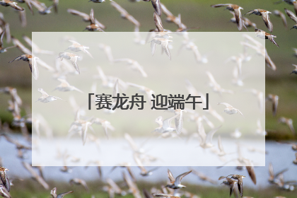赛龙舟 迎端午